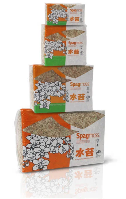 Sphagnum Moss — Kusamono Gardens